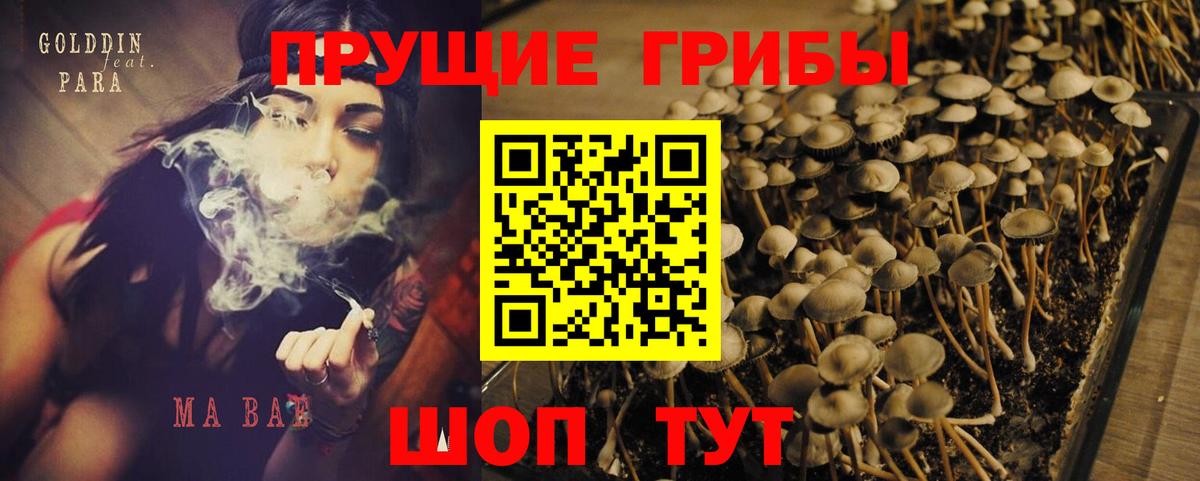 Лысьва  Псилоцибиновые грибы мицелий  наркота  Вход с VPN 