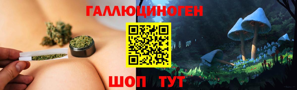 Галлюциногенные грибы Psilocybe Лысьва